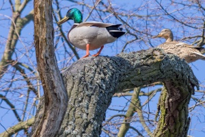 Visit in Trebon