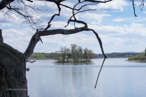 Visit in Trebon