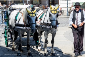 Vienna street photo