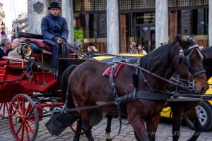 Central Vienna, Hofburg, Austria, street photo