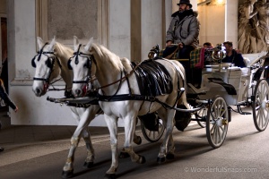 Central Vienna, Hofburg, Austria, street photo