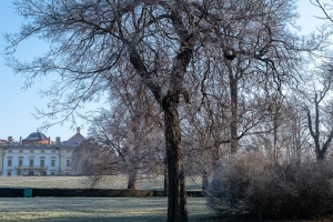 Slavkov Castle view from its park with trees