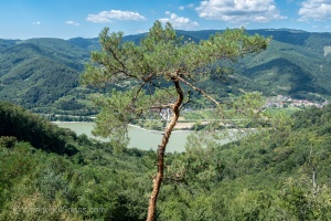 Aggstein Castle - a ruined castle above the Danube River