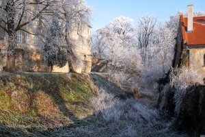Tovacov Castle and Frozen Trees in the Backyard