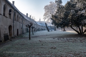 Tovacov Castle and Frozen Trees in the Backyard