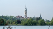 Ducks at Tovacov pond 