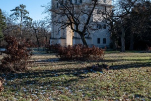 Winter Stillness at the Temple of Diana