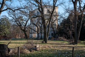 Winter Stillness at the Temple of Diana