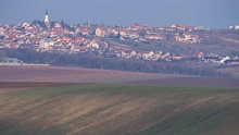 Vineyards Velke Pavlovice in the end of the winter