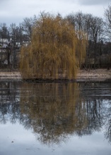 Namest nad Oslavou deer-park