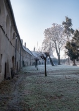 Tovacov Castle and Frozen Trees in the Backyard